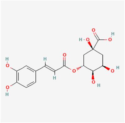 Wenshen-Jianpi prescription, a Chinese herbal medicine, improves visceral hypersensitivity in a rat model of IBS-D by regulating the MEK/ERK signal pathway